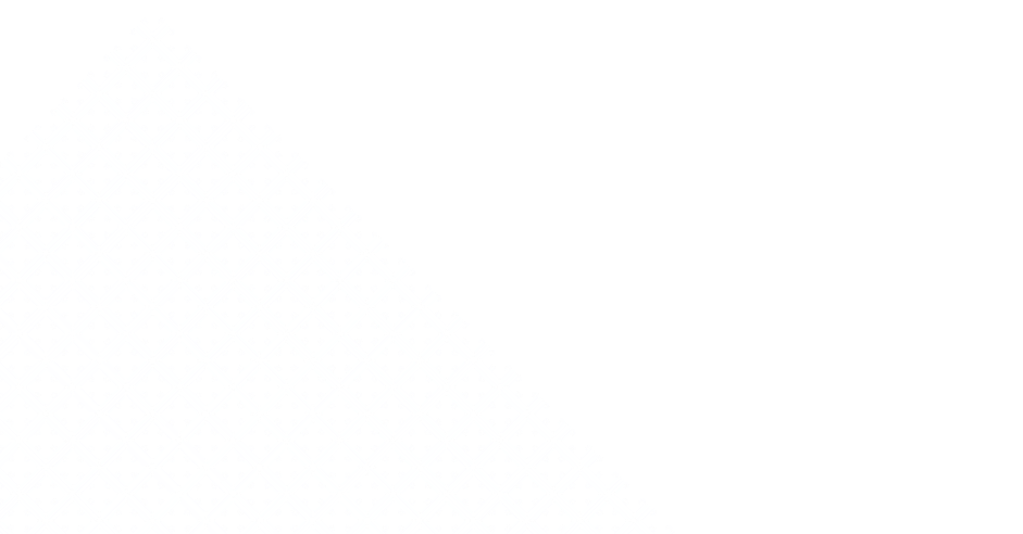 Ludius patroon